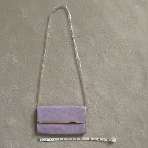 Francesca‘s metal bar snake clutch